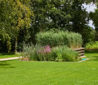 Bassin de phytoépuration intégré dans une pelouse soignée, bordé de plantes aquatiques variées dont des roseaux et des fleurs violettes, avec une structure en bois sur le côté et des arbres en arrière-plan.